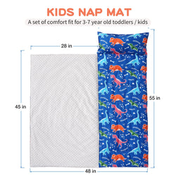 Removable Pillow Toddler Nap Mat